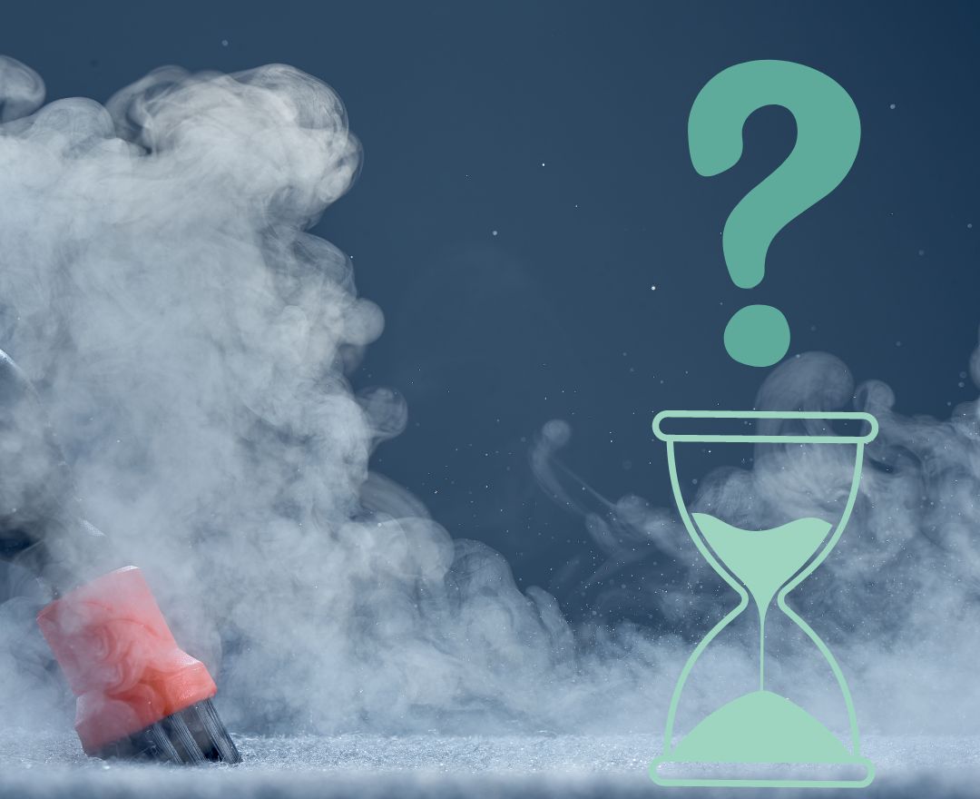 How Long Should I Let Carpet Dry After Steam Cleaning?