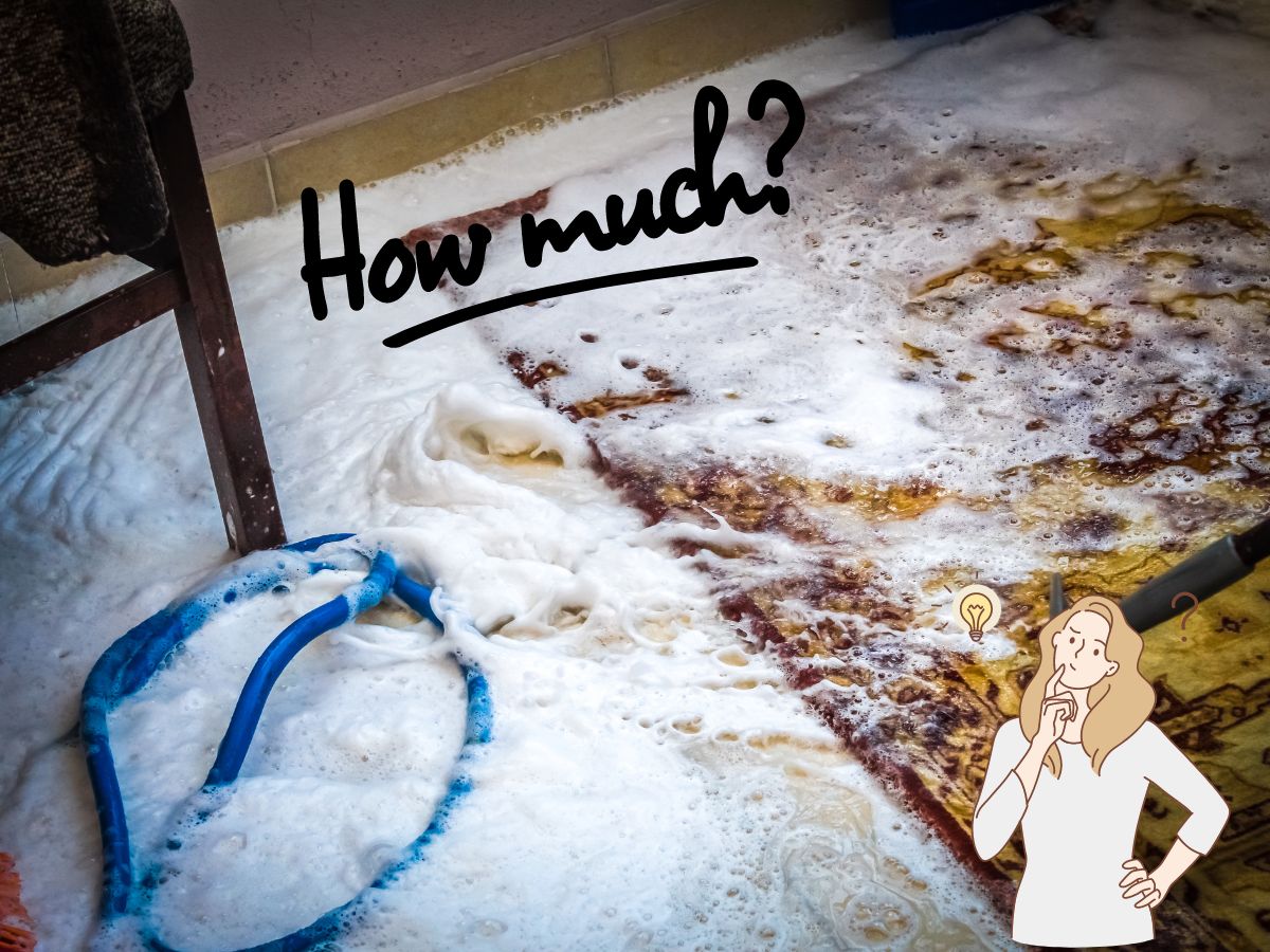 How Much Does it Cost for Commercial Building Carpet Cleaning